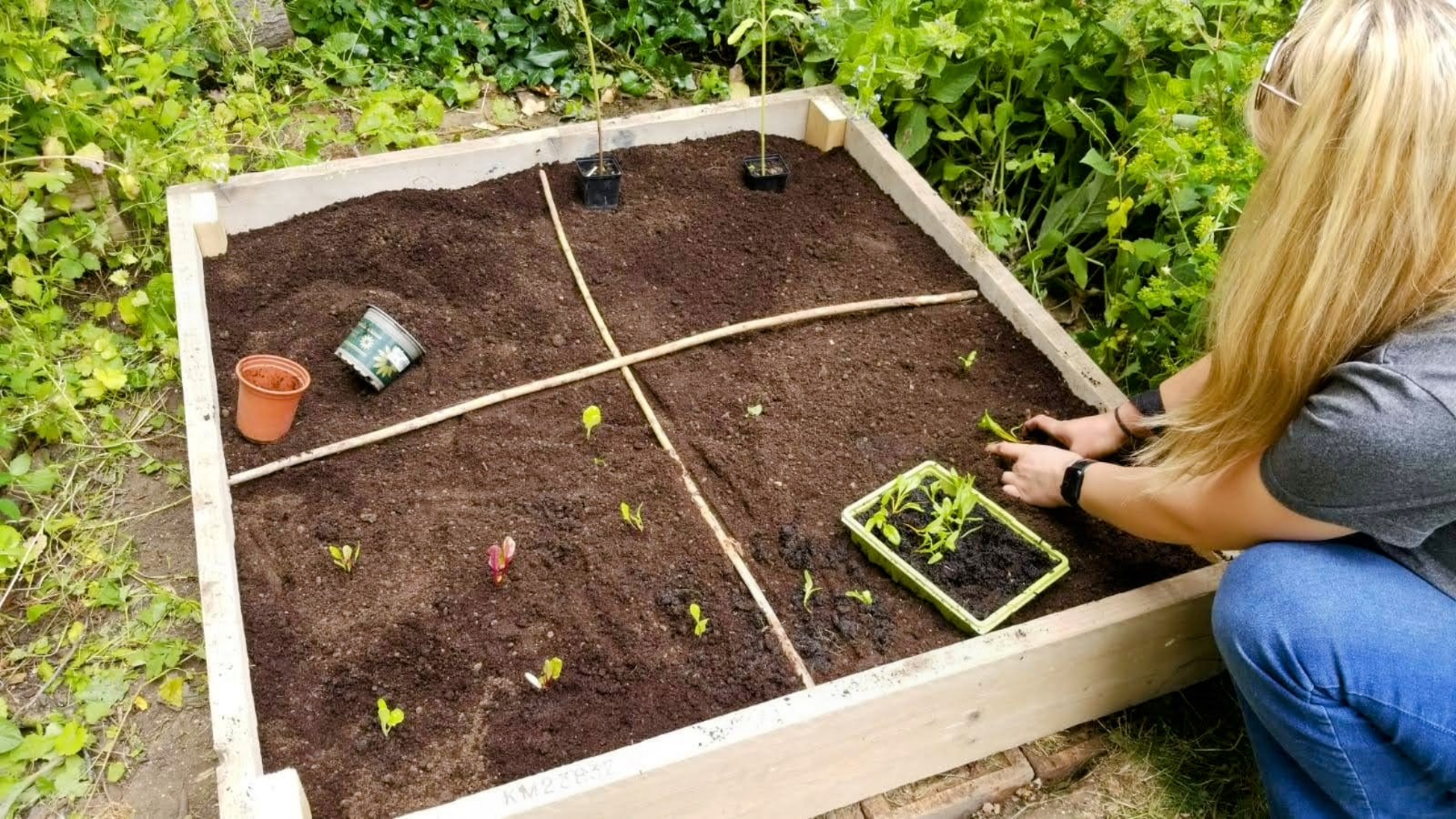 Greener Veganism Starts in Our Neighbourhoods