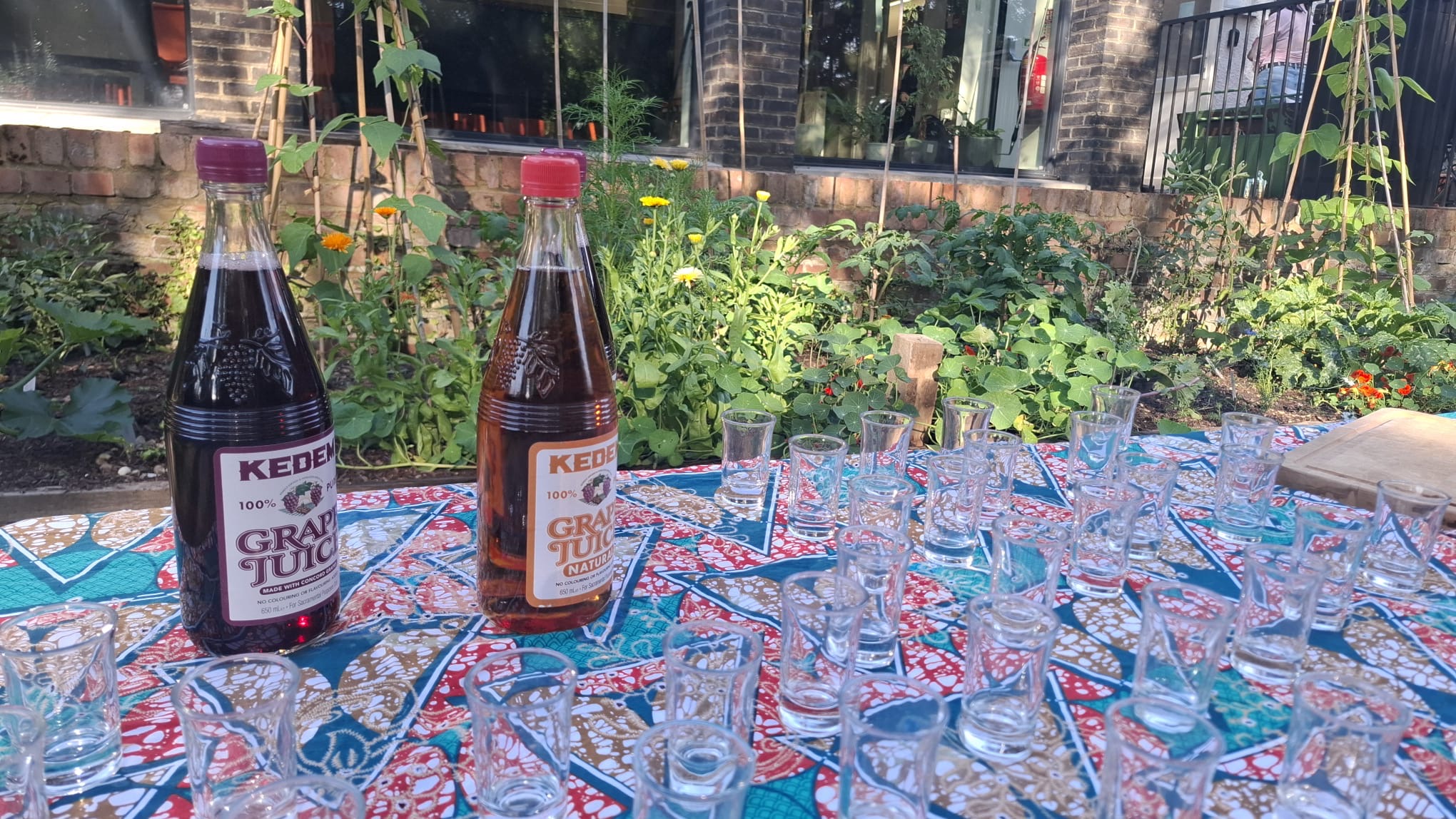 Sapphic Shabbat x JVS Pride 2025 Friday Night Dinner: “an evening of queer Jewish joy”