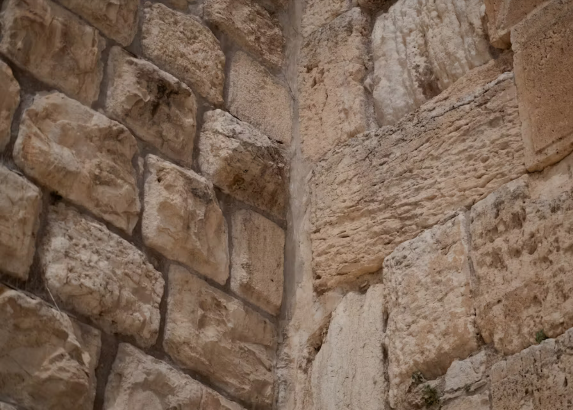 The Three Weeks in Judaism: A Vegan Perspective (5785/2025)