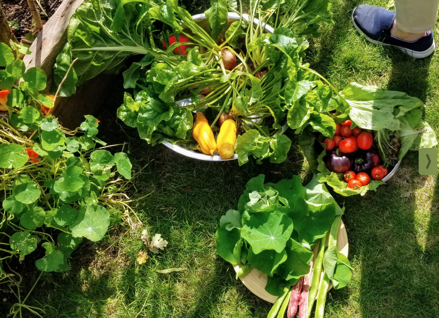 Garden to Plate event: 8th September β25