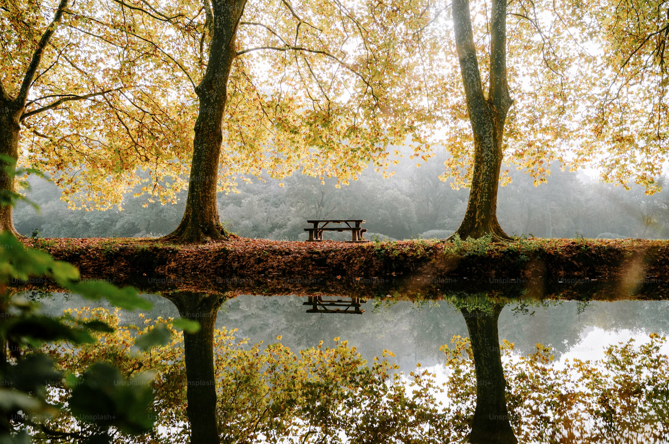Keeping our homes warm sustainably this autumn