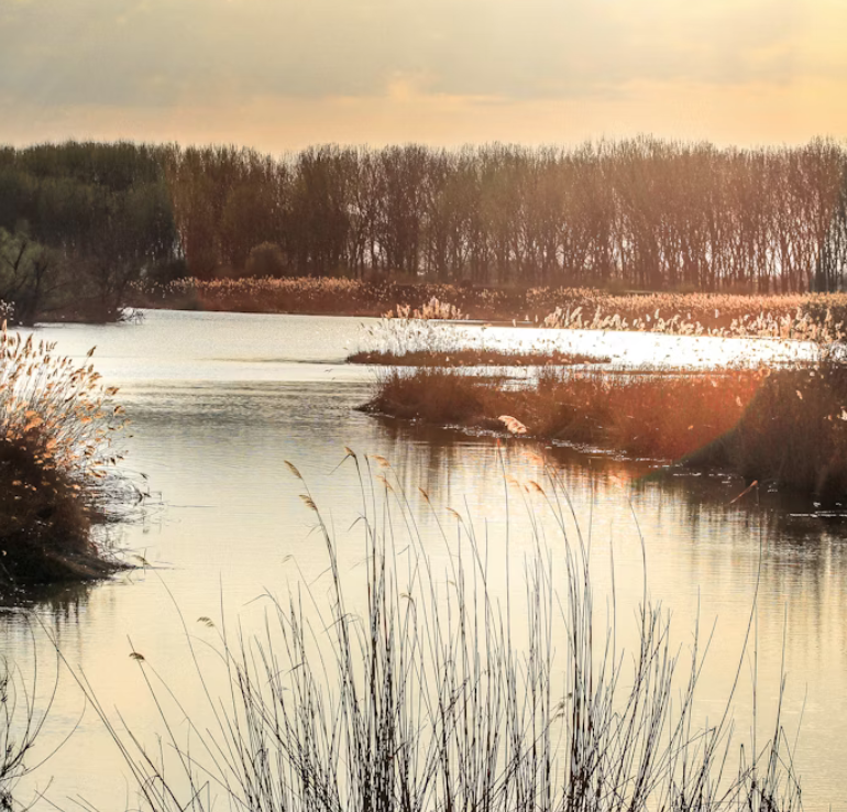 Defra aims to create more than 500,000 hectares of wildlife-rich habitat by 2042 in England